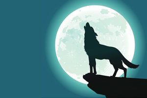 Lone Wolf Howling