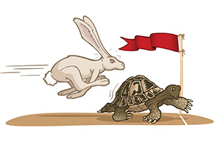 tortoise and hare race